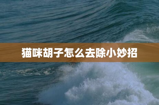 猫咪胡子怎么去除小妙招