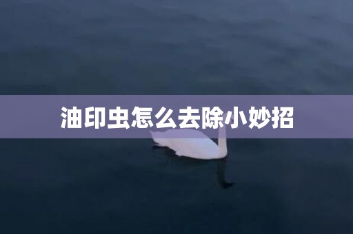 油印虫怎么去除小妙招