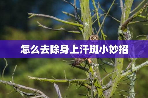 怎么去除身上汗斑小妙招