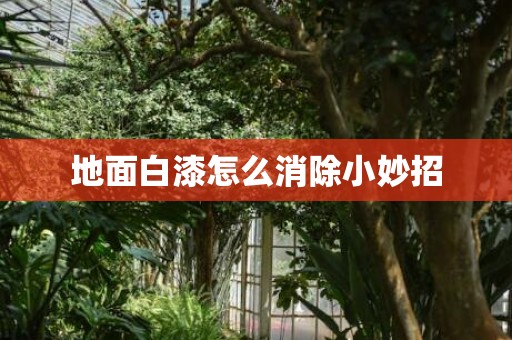 地面白漆怎么消除小妙招
