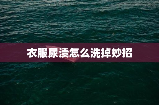 衣服尿渍怎么洗掉妙招