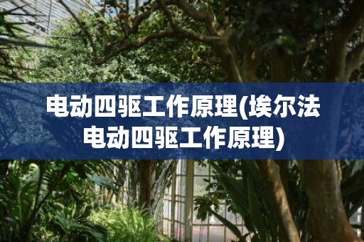 电动四驱工作原理(埃尔法电动四驱工作原理)