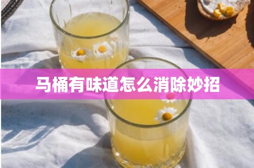 马桶有味道怎么消除妙招