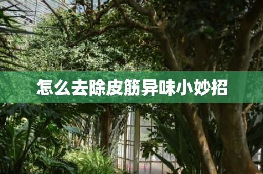 怎么去除皮筋异味小妙招