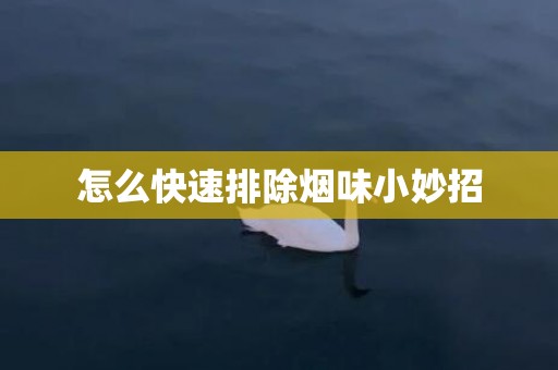 怎么快速排除烟味小妙招