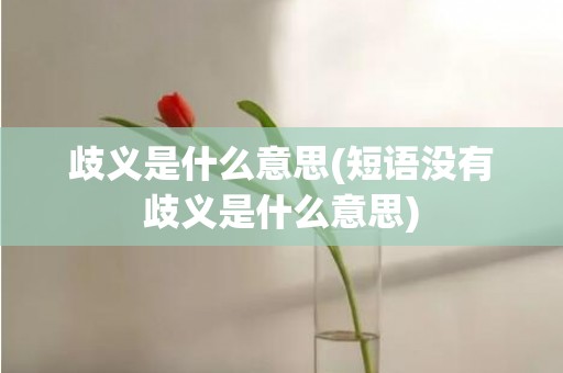 歧义是什么意思(短语没有歧义是什么意思)