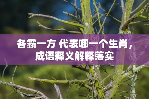 各霸一方 代表哪一个生肖，成语释义解释落实