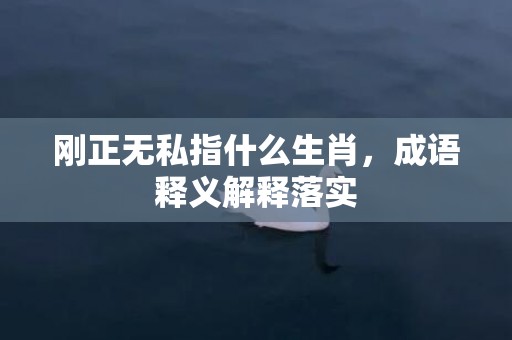 刚正无私指什么生肖，成语释义解释落实