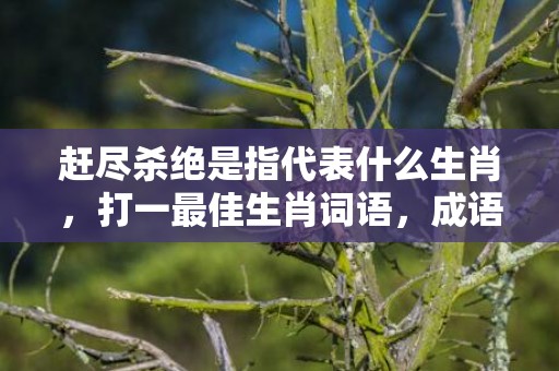 赶尽杀绝是指代表什么生肖，打一最佳生肖词语，成语释义解释落实