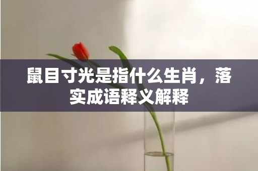 鼠目寸光是指什么生肖，落实成语释义解释