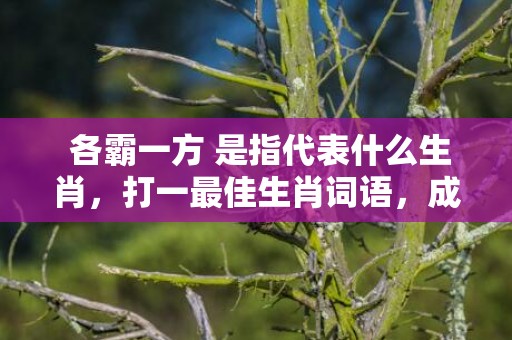  各霸一方 是指代表什么生肖，打一最佳生肖词语，成语释义解释落实
