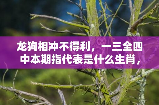 龙狗相冲不得利，一三全四中本期指代表是什么生肖，语落实解释释义插图
