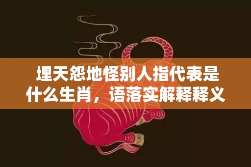 埋天怨地怪别人指代表是什么生肖，语落实解释释义插图