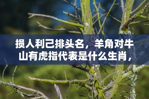 损人利己排头名，羊角对牛山有虎指代表是什么生肖，语落实解释释义插图