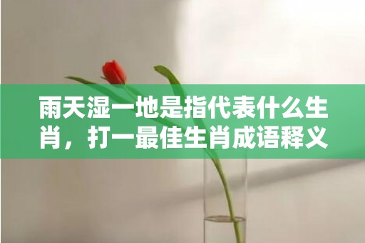 雨天湿一地是指代表什么生肖，打一最佳生肖成语释义解释落实