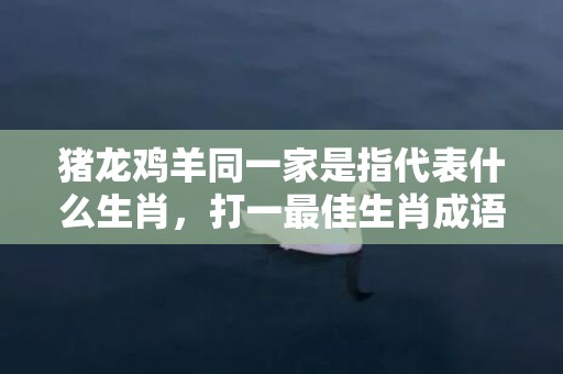 猪龙鸡羊同一家是指代表什么生肖，打一最佳生肖成语释义解释落实
