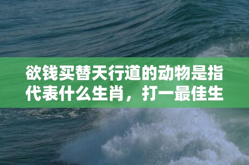 欲钱买替天行道的动物是指代表什么生肖，打一最佳生肖成语释义解释落实