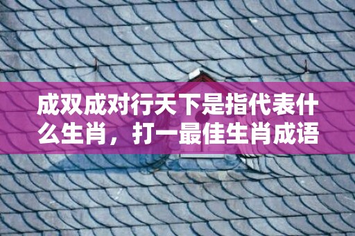 成双成对行天下是指代表什么生肖，打一最佳生肖成语释义解释落实