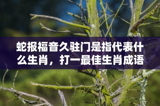 蛇报福音久驻门是指代表什么生肖，打一最佳生肖成语释义解释落实