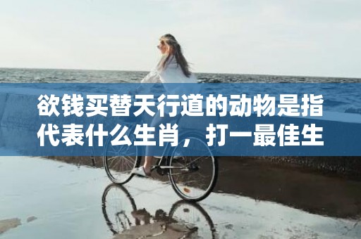 欲钱买替天行道的动物是指代表什么生肖，打一最佳生肖成语释义解释落实