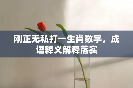 刚正无私打一生肖数字，成语释义解释落实