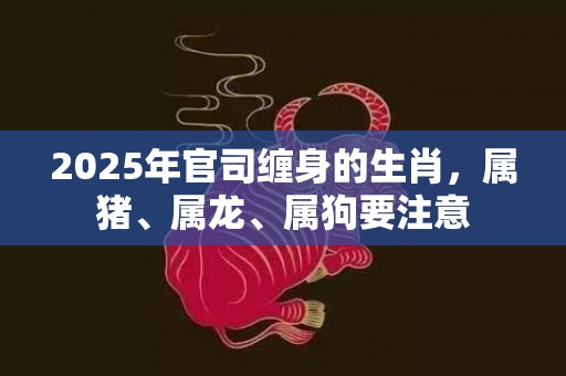 2025年官司缠身的生肖，属猪、属龙、属狗要注意