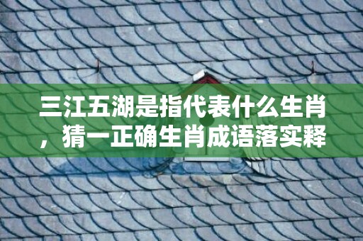 三江五湖是指代表什么生肖，猜一正确生肖成语落实释义