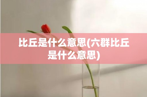 比丘是什么意思(六群比丘是什么意思)