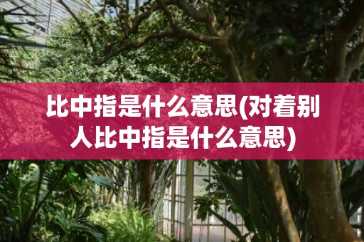 比中指是什么意思(对着别人比中指是什么意思)