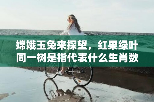 嫦娥玉兔来探望，红果绿叶同一树是指代表什么生肖数字，词语分析落实解释