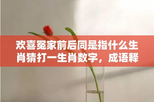 欢喜冤家前后同是指什么生肖猜打一生肖数字，成语释义解释落实