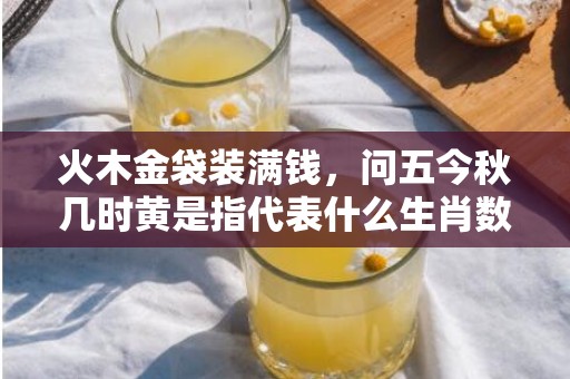 火木金袋装满钱，问五今秋几时黄是指代表什么生肖数字，词语分析落实解释
