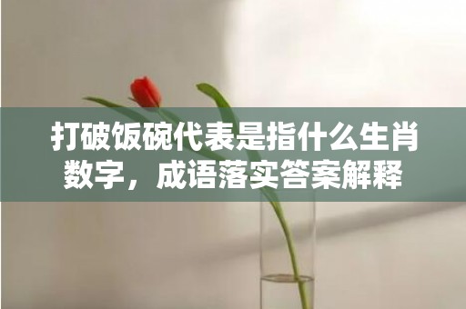 打破饭碗代表是指什么生肖数字，成语落实答案解释