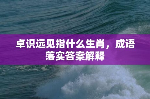 卓识远见指什么生肖，成语落实答案解释