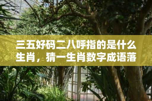 三五好码二八呼指的是什么生肖，猜一生肖数字成语落实答案解释