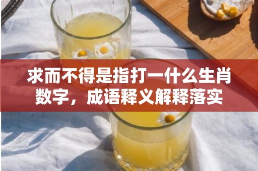 求而不得是指打一什么生肖数字，成语释义解释落实