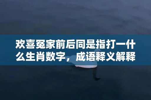 欢喜冤家前后同是指打一什么生肖数字，成语释义解释落实