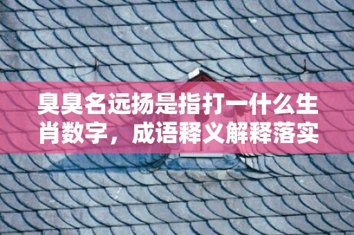 臭臭名远扬是指打一什么生肖数字，成语释义解释落实