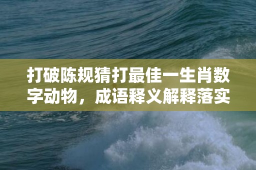 打破陈规猜打最佳一生肖数字动物，成语释义解释落实