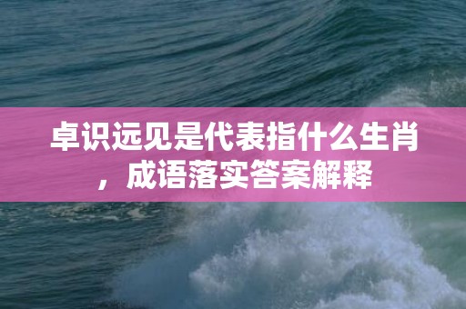 卓识远见是代表指什么生肖，成语落实答案解释