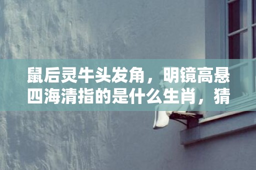 鼠后灵牛头发角，明镜高悬四海清指的是什么生肖，猜打一生肖数字成语 科学解答