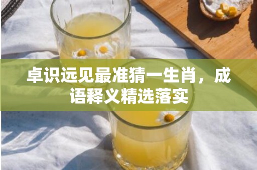卓识远见最准猜一生肖，成语释义精选落实