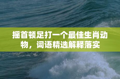 摇首顿足打一个最佳生肖动物，词语精选解释落实