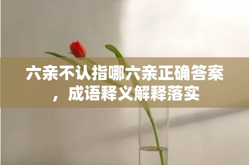 六亲不认指哪六亲正确答案，成语释义解释落实