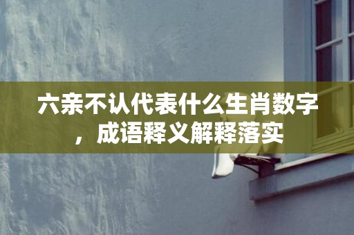 六亲不认代表什么生肖数字，成语释义解释落实