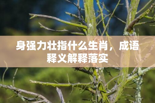 身强力壮指什么生肖，成语释义解释落实