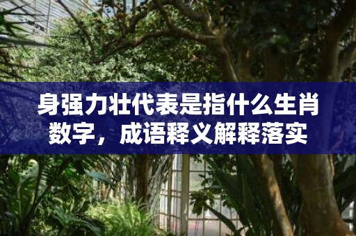 身强力壮代表是指什么生肖数字，成语释义解释落实
