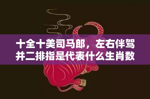 十全十美司马郎，左右伴驾并二排指是代表什么生肖数字，打一最佳生肖成语释义解释落实