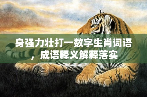 身强力壮打一数字生肖词语，成语释义解释落实