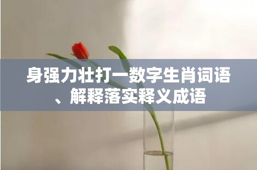 身强力壮打一数字生肖词语、解释落实释义成语